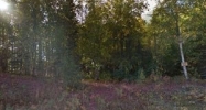 4862 S Jade Lane Big Lake, AK 99652 - Image 16311379