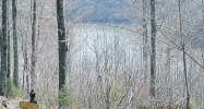 LOT 50 COVENTRY WAY Smithville, TN 37166 - Image 16326607