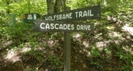 LOT 22 CASCADE LANE Todd, NC 28684 - Image 16406686