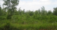 33 Cedar Creek Farms Ro Glen Saint Mary, FL 32040 - Image 16409222