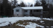 156 SHIN HOLLOW RD Port Jervis, NY 12771 - Image 16424665