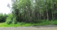 2061 W Lake Lucille Drive Wasilla, AK 99654 - Image 16468705