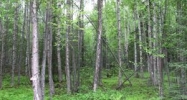 14207 W Parks Highway Big Lake, AK 99652 - Image 16477875