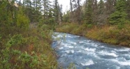 L7B2 River Circle Eagle River, AK 99577 - Image 16522638