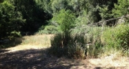 0 McPeak Rd Forestville, CA 95436 - Image 16525153