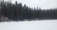 4797 S Dollar Road Big Lake, AK 99652 - Image 16536646