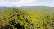 Tract 1 E Millers Cove Rd Walland, TN 37886 - Image 16538018