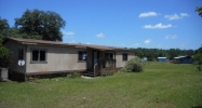 6175 Green Pond Rd Polk City, FL 33868 - Image 16538297