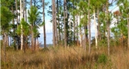 # 5 Whisper Lane Santa Rosa Beach, FL 32459 - Image 16544236