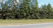 0 Coastal Hwy Fleming, GA 31309 - Image 16576665