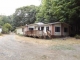 113 North Jorstad Creek Rd Lilliwaup, WA 98555 - Image 16589526