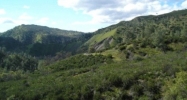 1460 State Highway 16 Rumsey, CA 95679 - Image 16614980