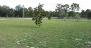 7646 Oak Forest Rd Keystone Heights, FL 32656 - Image 16617079