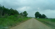 County Road 408 Lafe, AR 72436 - Image 16741193