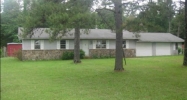 2919 Wish St Pleasant Plains, AR 72568 - Image 16798569