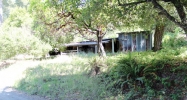 521 Native Sons Rd Pescadero, CA 94060 - Image 16810011