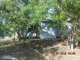 33549 FM 2925 Rio Hondo, TX 78583 - Image 16826683