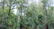 204th St.- Lot 21 O Brien, FL 32071 - Image 16882132