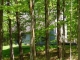 119 Kropp Rd Westerlo, NY 12193 - Image 16908677