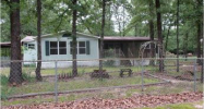 193 County Road 1684 Alba, TX 75410 - Image 17116983