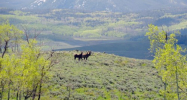 TBD HIWAY 14, WALDEN CO Walden, CO 80480 - Image 17185646