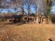 13633 Hwy 51 S Durant, MS 39063 - Image 17187361