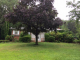 15 Hofstra Dr Plainview, NY 11803 - Image 17257072