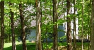 119 Kropp Rd Westerlo, NY 12193 - Image 17355239