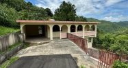 Lot B Carr 157  Km.Hm 1.7 Orocovis, PR 00720 - Image 17574669