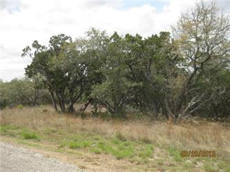 Lot 376 Mountain Springs Ranch