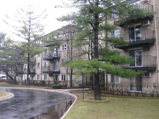 2315 E Olive St Apt 3l