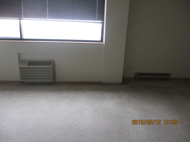 2625 N Clark St Apt 1808