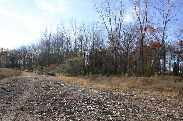 Vacant Telegraph Road