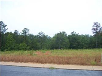 Well Creek Ln Lot 28