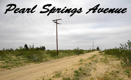 Pearl Springs Avenue