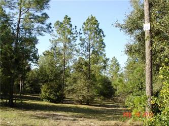 Lake Wood Ranches Parcel 111 (Apn#