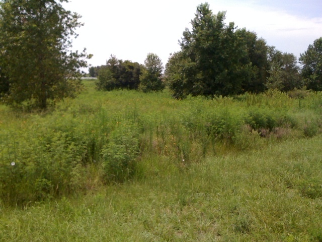 Corner of CR33 & Centennial Pkwy