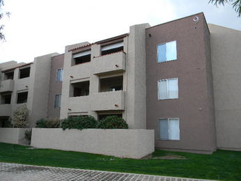 540 N. May Unit 3124