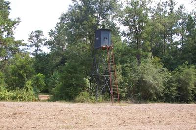 ELK RIVER ROAD