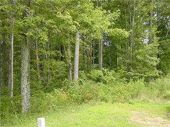 Lot 18a Cliffs At Walnut Cove  (Apn