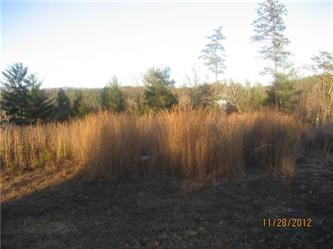 Lot 34 1.66 Acres (Apn# 1712.00-58-