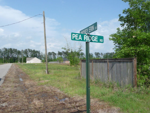 Pea Ridge Rd. and Erin Lindsey Ln.