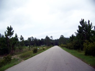 Lone Oak Drive