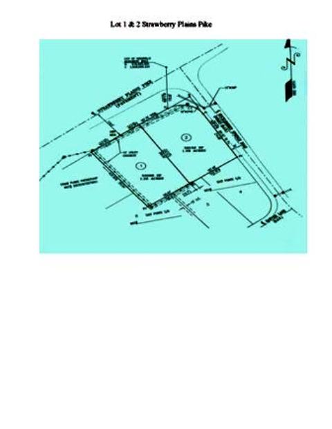 Strawberry Plains Pike Lot 1