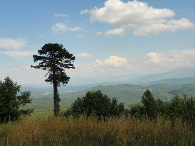 Bluff Mountain Road