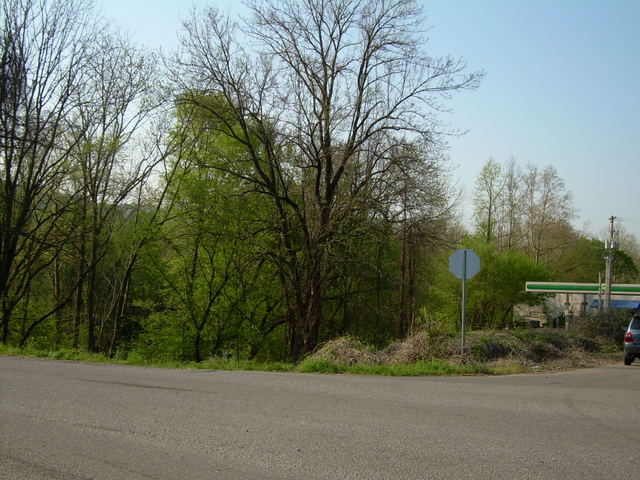 Corner Lamar Alex. Pkwy. & Old Walland Hwy.