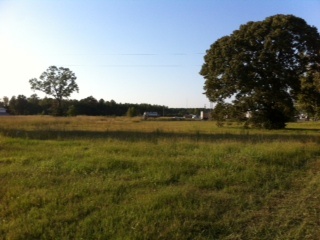 Intersection of Hwy 80 & Goodwill Rd