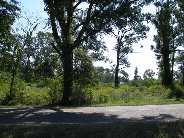 Old Hammand Hwy. 10 Acres