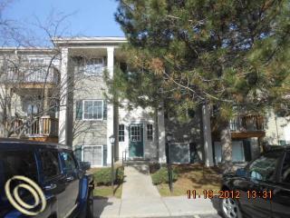 45210 Keding St Apt 302