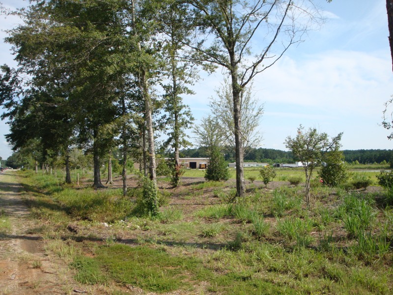 Lot 4 Hwy 25